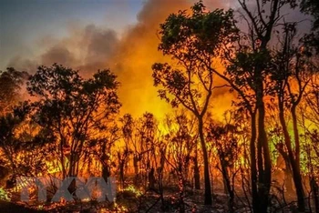 Khói lửa bốc lên tại đám cháy rừng gần sông Margaret, Australia ngày 8/12/2021. (Ảnh: AFP/TTXVN)
