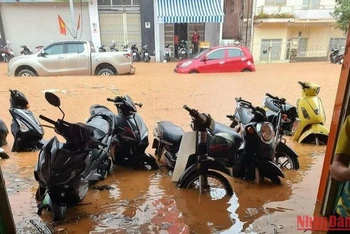 Nhiều nhà dân trên đường Phan Đình Phùng và các tuyến đường hẻm kết nối tại Đà Lạt bị ngập cục bộ chiều nay.