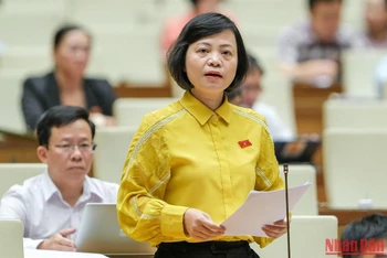 Đại biểu Quốc hội Nguyễn Thanh Cầm phát biểu ý kiến thảo luận. (Ảnh: DUY LINH) 