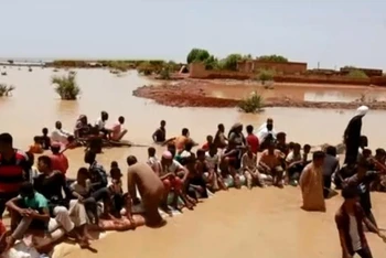 [Video] Rắn và bọ cạp tràn vào Sudan khi mùa mưa đến