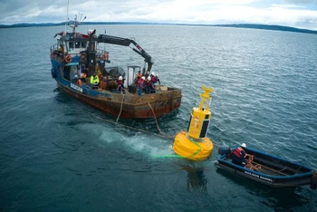 Các công nhân đang lắp đặt chiếc phao thông minh có tên ‘Suyai’ trên vùng vịnh Corcovado ngoài khơi bờ biển Chiloe ở Chile ngày 10/10/2022, nhằm giúp tránh các vụ va chạm giữa tàu thuyền và cá voi. (Ảnh: Reuters) 