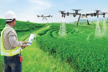 Thúc đẩy ứng dụng công nghệ AI trong nâng cao năng suất nông nghiệp