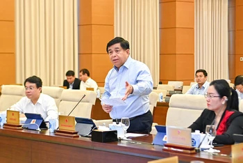 Bộ trưởng Kế hoạch và Đầu tư Nguyễn Chí Dũng trình bày Tờ trình của Chính phủ tại phiên họp. (Ảnh: DUY LINH)