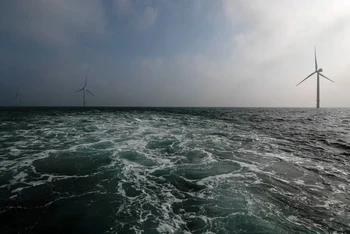Các turbine điện gió tại trang trại gió ngoài khơi Eneco Luchterduinen, gần Amsterdam, Hà Lan. (Ảnh: Reuters)