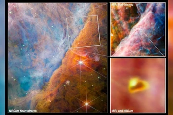 Những hình ảnh do Kính viễn vọng James Webb chụp cho thấy một phần của Tinh vân Orion, nơi ánh sáng tia cực tím tương tác với các đám mây phân tử dày đặc. (Ảnh: NASA)