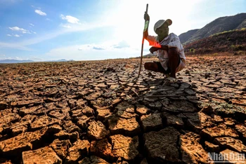 ‘Tuyệt đối không chủ quan trong ứng phó với El Nino’