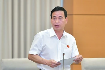 Phó Chủ nhiệm Ủy ban Tư pháp Nguyễn Mạnh Cường trình bày báo cáo thẩm tra tại phiên họp sáng 13/9. (Ảnh: DUY LINH)