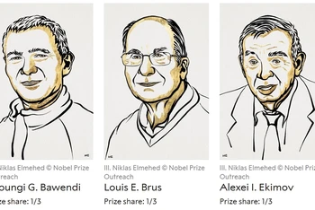 Ba nhà khoa học người Mỹ giành giải Nobel Hóa học 2023. 