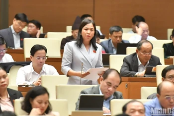 Đại biểu Quốc hội Điểu Huỳnh Sang phát biểu ý kiến thảo luận. (Ảnh: ĐĂNG KHOA)