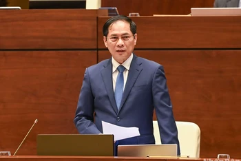 Bộ trưởng Ngoại giao Bùi Thanh Sơn trả lời chất vấn tại Phiên họp thứ 31 của Ủy ban Thường vụ Quốc hội. (Ảnh: DUY LINH)