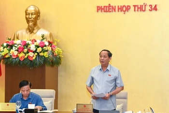 Phó Chủ tịch Quốc hội Trần Quang Phương phát biểu tại phiên họp. (Ảnh: DUY LINH)