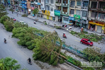 Bão số 3 gây ra nhiều thiệt hại cho người dân. Ảnh: THÀNH ĐẠT