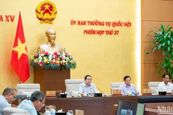 Tình trạng ủy quyền tiếp công dân tại bộ, ngành, địa phương vẫn còn nhiều