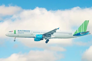 Cục thuế tỉnh Bình Định hủy bỏ tạm hoãn xuất cảnh với CEO Bamboo Airways