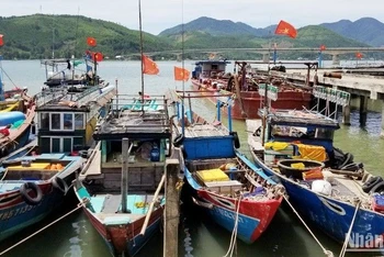 Thừa Thiên Huế cấm tàu thuyền ra khơi từ 7 giờ sáng ngày 25/9.