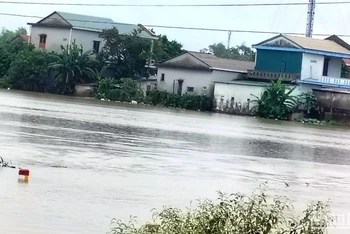 Vùng thấp trũng tại xã Phong Hiền, huyện Phong Điền (Thừa Thiên Huế) bị ngập lụt nặng. (Ảnh: CTV)