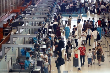 Tỷ lệ đặt chỗ trên các đường bay nội địa dịp Tết có xu hướng tăng nhanh. 