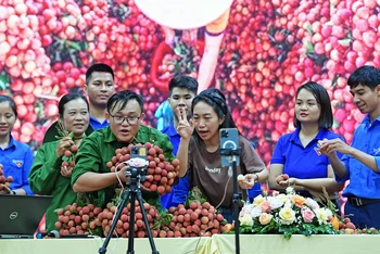 Ðoàn viên, thanh niên Bắc Giang bán vải thiều trực tuyến. 