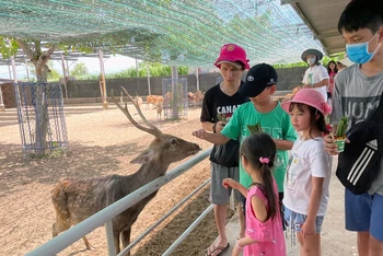 Khách du lịch tham quan trang trại Tiên Tiến Farm & Zoo ở Ninh Thuận. 