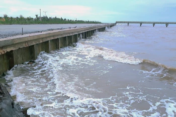 Kè ven biển Khu du lịch Khai Long, huyện Ngọc Hiển được thực hiện theo hình thức xã hội hóa. 