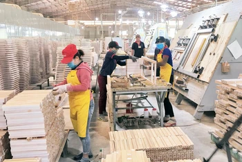 Sản xuất gỗ tại Công ty Kỹ nghệ gỗ Tiến Đạt (phường Bùi Thị Xuân, thành phố Quy Nhơn, tỉnh Bình Định).
