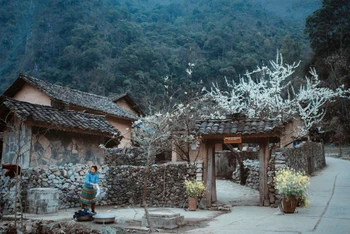 Ngôi nhà bối cảnh trong phim “Chuyện của Pao” thu hút đông khách du lịch tìm đến.