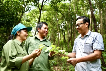 Cán bộ Ban quản lý rừng phòng hộ Đồng Xuân (Phú Yên) lựa chọn giống cây lâm nghiệp để trồng rừng. (Ảnh GIZ) 