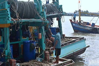 Các tàu cá Kiên Giang bị tấn công đang neo đậu, sửa chữa tại miền biển Sông Đốc (huyện Trần Văn Thời, tỉnh Cà Mau).