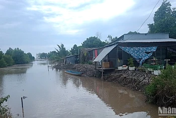 Khu vực vuông tôm của người dân ấp Bỏ Hủ bị sóng dữ tàn phá khiến thuỷ sản, vật nuôi thất thoát ra biển.