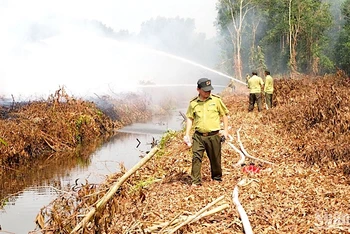 Diễn tập giả định tình huống chữa cháy tại lâm phần rừng tràm thuộc Công ty Lâm nghiệp U Minh hạ.