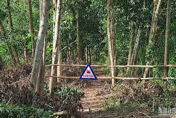 Chủ rừng rào chắn lối vào và gắn biển cấm lửa tại những khu vực cảnh báo cháy cao trên lâm phần rừng ngập ngọt U Minh Hạ. 