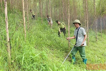 Lực lượng Kiểm lâm phối hợp với chủ rừng đi tuần tra, bảo vệ rừng tại xã Đồng Vương, huyện Yên Thế.