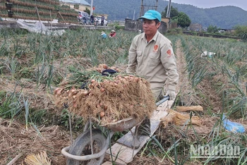 Mục tiêu của xây dựng nông thôn mới năm 2023 là cả nước có khoảng 78% xã đạt chuẩn nông thôn mới, trong đó có khoảng 25% số xã đạt chuẩn nâng cao và kiểu mẫu.