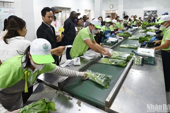 Việt Nam đang làm tốt vai trò lãnh đạo của mình trong chuyển đổi hệ thống lương thực thực phẩm.