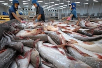 Đức là một trong số ít các thị trường giữ được đà tăng trưởng dương 2 con số về nhập khẩu cá tra Việt Nam trong những tháng đầu năm 2023.