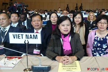 Đại diện Bộ Y tế trong lần đầu tiên dẫn dắt Đoàn Việt Nam tham dự hội nghị COP6 tại Liên bang Nga vào năm 2014. (Nguồn: MOH)