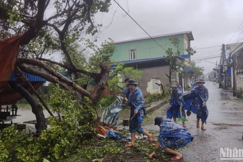 Dọn cành cây bị đổ sau bão.