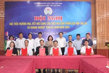 Ký kết biên bản ghi nhớ, hợp đồng hợp tác giữa các đơn vị và hợp tác xã trên địa bàn tỉnh Hà Nam. 