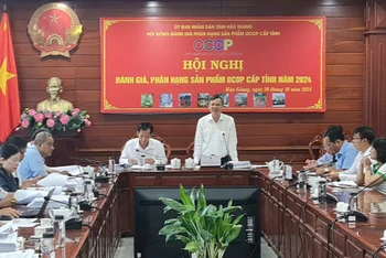 Ông Trương Cảnh Tuyên, Phó Chủ tịch Thường trực Ủy ban nhân dân tỉnh Hậu Giang phát biểu tại hội nghị