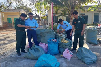 Lực lượng chức năng tỉnh Ninh Thuận phối hợp xử lý thuốc lá nhập lậu.