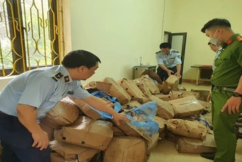 Lực lượng chức năng tỉnh Lào Cai đang tiến hành kiểm tra, xử lý vụ việc.