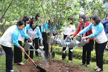 Phụ nữ Thủ đô trồng cây trong khuôn viên Khu di tích Phủ Chủ tịch.