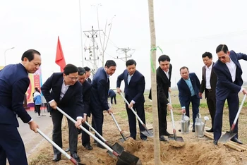 Bí thư Tỉnh ủy Bắc Ninh dự Tết trồng cây tại thị xã Quế Võ.