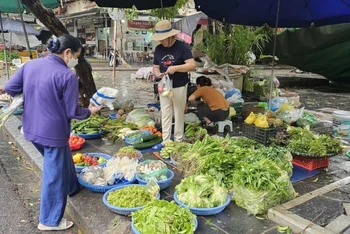 Một hàng bán rau xanh trên phố Nguyễn Thị Thập sáng 8/9.