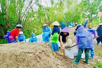 Lực lượng chức năng và nhân dân xã Đại Áng, huyện Thanh Trì (Hà Nội) khẩn trương thực hiện các giải pháp gia cố, chống sạt đê tả sông Nhuệ, gần trạm bơm tiêu Hòa Bình.