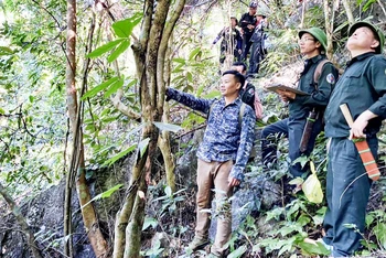 Năm 2022, Ban Quản lý đặc dụng, phòng hộ tỉnh Thái Nguyên thực hiện 583 buổi với hơn 2000 lượt người tham gia tuần tra Khu dự trữ thiên nhiên Thần Sa-Phượng Hoàng.