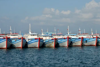 Tàu cá đánh bắt xa bờ neo đậu tại Cảng Phú Quý (Bình Thuận).