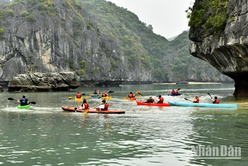  Du khách thỏa thích chèo thuyền kayak khám phá hang động kỳ thú của vịnh Lan Hạ.