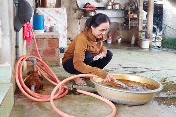 Chị Võ Thị Vĩnh ở xã Ngư Thủy Bắc, huyện Lệ Thủy bơm nước dưới cát lên có màu vàng và mùi hôi phèn nồng nặc.