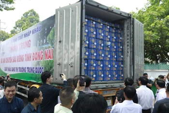 Đưa sầu riêng lên xe container xuất khẩu sang thị trường Trung Quốc.